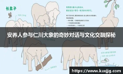 安养人参与仁川大象的奇妙对话与文化交融探秘